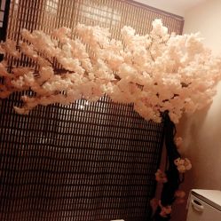 -至臻康妍健康管理中心