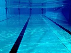 -菲鱼体育恒温游泳馆(中海名城店)