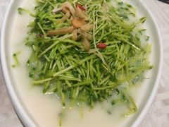 -石头咕(葵蓬店)