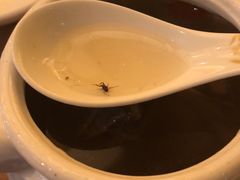 -莆鑫海鲜城(浏河店)