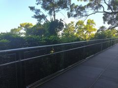 -仙岳公园