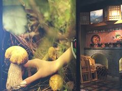 -云海肴·汽锅鸡·云南菜(天山百盛优客店)