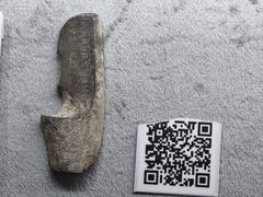-古陶文明博物馆