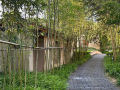 -青城山六善酒店·紫氣園中餐厅