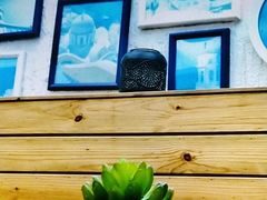 -Sirena海妖日咖夜酒