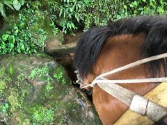 -崀山风景名胜区