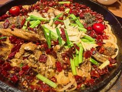 -老板恋上鱼(高新万达店)