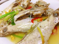 -老三鱼仔店