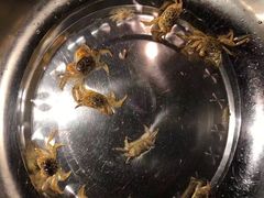-碧海金沙