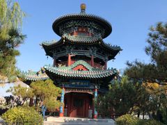 -迎泽公园