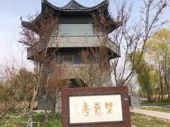 -盐城丹顶鹤湿地生态旅游区