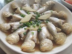 -春江酒楼(海宁盐官环城南路店)