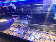 -盛江山自助料理(奥莱锦辉购物广场店)