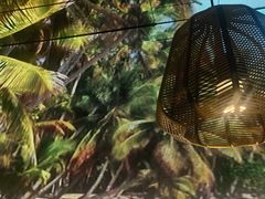 -大头椰·椰子鸡火锅(南宁万象城店)