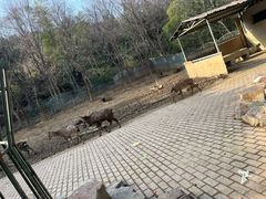 -无锡动物园·太湖欢乐园