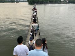 -鲁镇