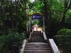 -宝莱纳啤酒花园餐厅PAULANER BRAUHAUS Nanjing(广州路店)