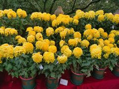 -南山植物园