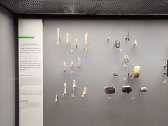 -东京国立博物馆