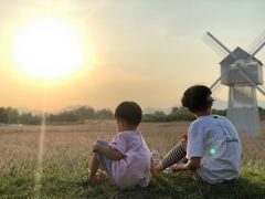 -北京东方普罗旺斯薰衣草庄园