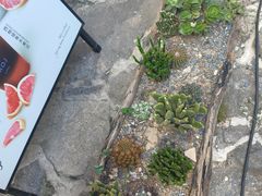 -MOJ coffee(瓯海泽雅水碓坑店)