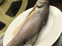 -吴记富苑(朝阳店)