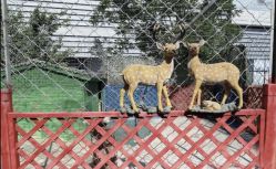 -萌宠亲子动物乐园(槐房万达店)