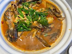 -田水湾丨地道安徽菜(文化路店)