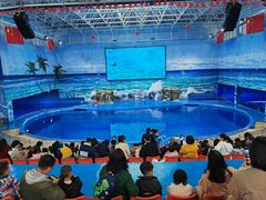 -多彩贵州城极地海洋世界