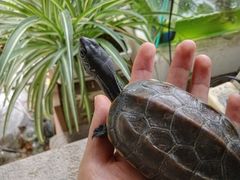 -吴山花鸟城-停车场