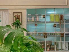-绿小院(荔湾店)