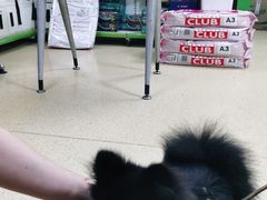-皖宠联盟宠爱优家宠物医院(中兴西湖店)
