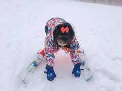 -大别山南武当滑雪场