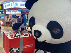 -熊猫不走蛋糕（同城送）(长沙店)