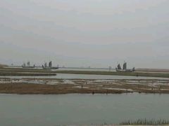 -湖鲜楼