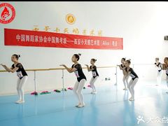 -西安小天鹅艺术团(曲江Alice店)