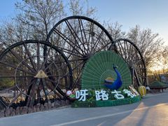 -呀路古热带植物园