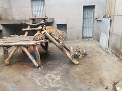 -西安秦岭野生动物园