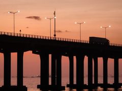 -宝安西湾红树林湿地公园