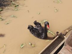 -东滩湿地公园观海楼餐厅