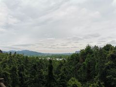 -江西龙虎山景区