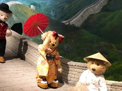 -成都泰迪熊博物馆