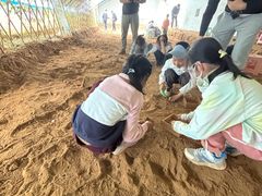 -房山世界地质公园博物馆