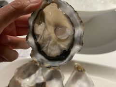 -Oyster Talks 四度蚝法餐厅