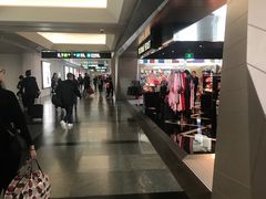 -厦门高崎国际机场-T3航站楼