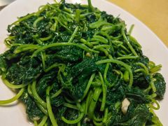 油炒地瓜叶-大笑饭堂(甲子桥店)