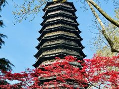 -红梅公园