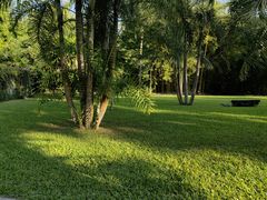 -中国科学院西双版纳热带植物园