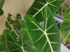 -物美超市(通州果园店)