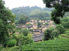 -杨家堂村
